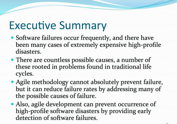 Software Disasters by Brian Hallesy